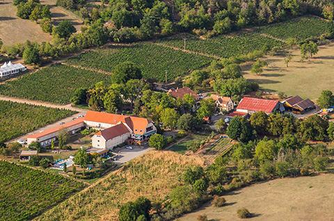Hôtel du Bollenberg